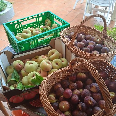 Locanda Dell'Amicizia Seccheto Eksteriør bilde